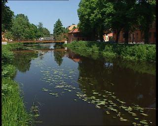 Link to Video | 1991, Sweden