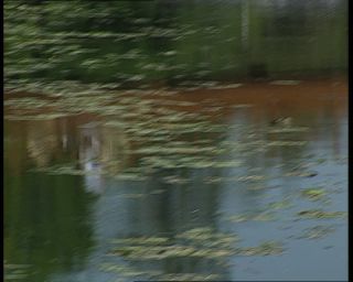 Link to Video | 1991, Sweden