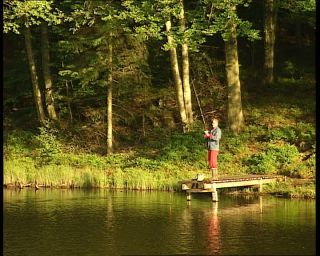 Link to Video | 1991, Sweden