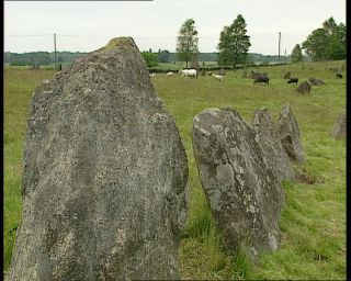 Link to Video | 1991, Sweden