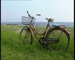 Link to Video | 1991, Sweden