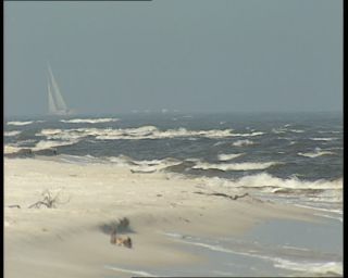 Link to Video | 1991, Sweden