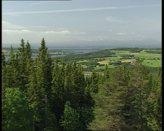 Link to Video | 1991, Sweden