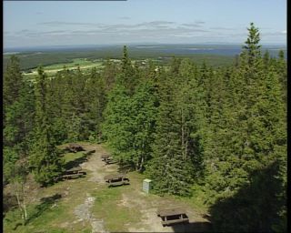 Link to Video | 1991, Sweden