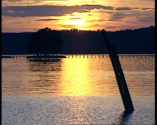 Link to Video | 1991, Sweden