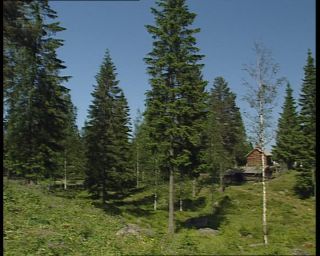 Link to Video | 1991, Sweden