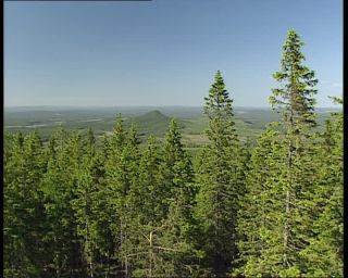 Link to Video | 1991, Sweden