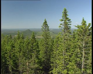 Link to Video | 1991, Sweden