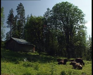 Link to Video | 1991, Sweden