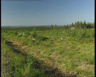 Link to Video | 1991, Sweden