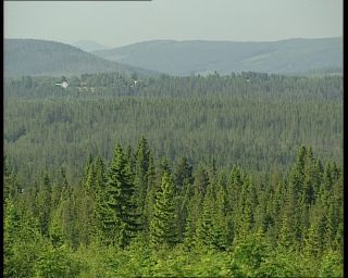 Link to Video | 1991, Sweden