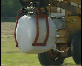 Link to Video | 1991, Sweden