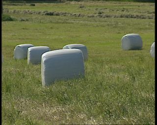 Link to Video | 1991, Sweden