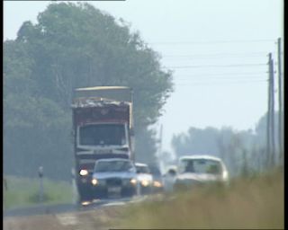 Link to Video | 1991, Sweden