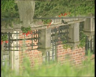 Link to Video | 1991, Sweden