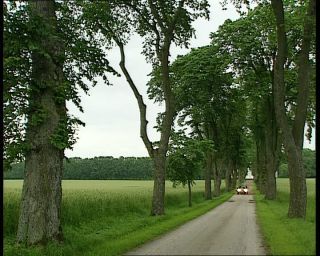 Link to Video | 1991, Sweden