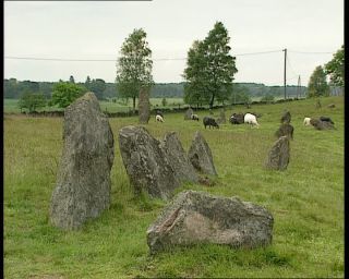 Link to Video | 1991, Sweden