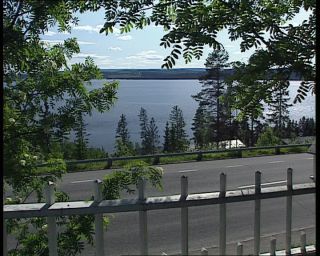 Link to Video | 1991, Sweden