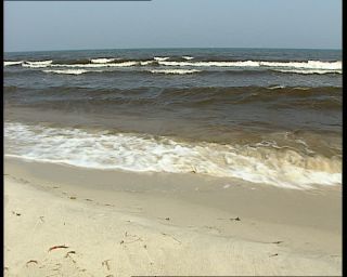 Link to Video | 1991, Sweden