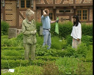 Link to Video | 1991, Sweden