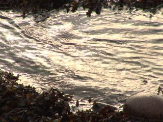 Link to Video | 2005, Scotland