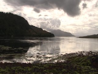 Link to Video | 2005, Scotland