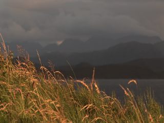 Link to Video | 2005, Scotland
