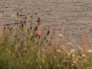 Link zum Video | 2005, Schottland