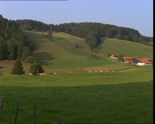 Link to Video | Germany, 1994, color, photographic film, Bavaria