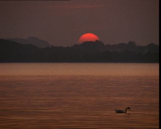 Link to Video | Germany, 1994, color, photographic film, Bavaria