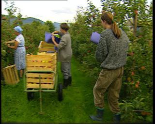 Link to Video | Germany, 1995