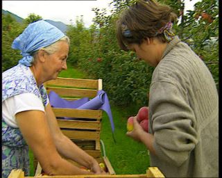 Link to Video | Germany, 1995