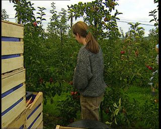 Link to Video | Germany, 1995