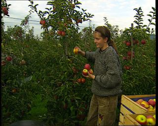 Link to Video | Germany, 1995