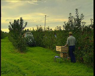 Link to Video | Germany, 1995