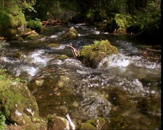 Link to Video | Germany, 1994, color, photographic film, Bavaria