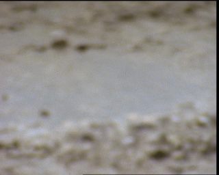 Link to Video | Germany, 1994, color, photographic film, Bavaria