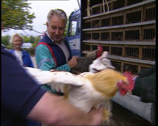 Link to Video | Germany, 1995