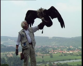 Link to Video | Germany, 1995