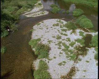 Link to Video | Germany, 1994, color, photographic film, Baden-Württemberg