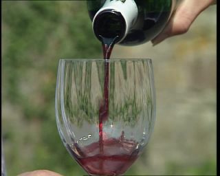 Link to Video | Germany, 1995