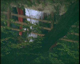 Link to Video | Germany, 1994, color, photographic film, Baden-Württemberg