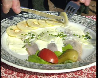 Link to Video | Germany, 1995