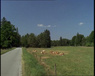 Link to Video | Germany, 1994, color, photographic film, Bavaria
