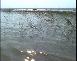 Link to Video | Germany, 1994, color, photographic film, Bavaria