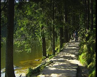 Link to Video | Germany, 1995