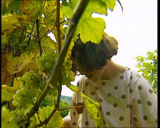 Link to Video | Germany, 1995