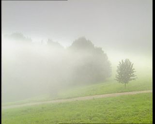 Link to Video | Germany, 1995