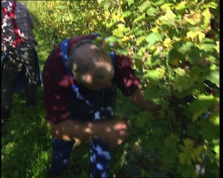 Link to Video | Germany, 1995