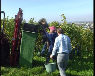 Link to Video | Germany, 1995